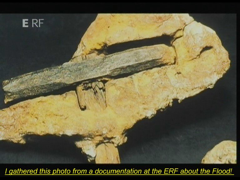 Ein versteinerter Hammer