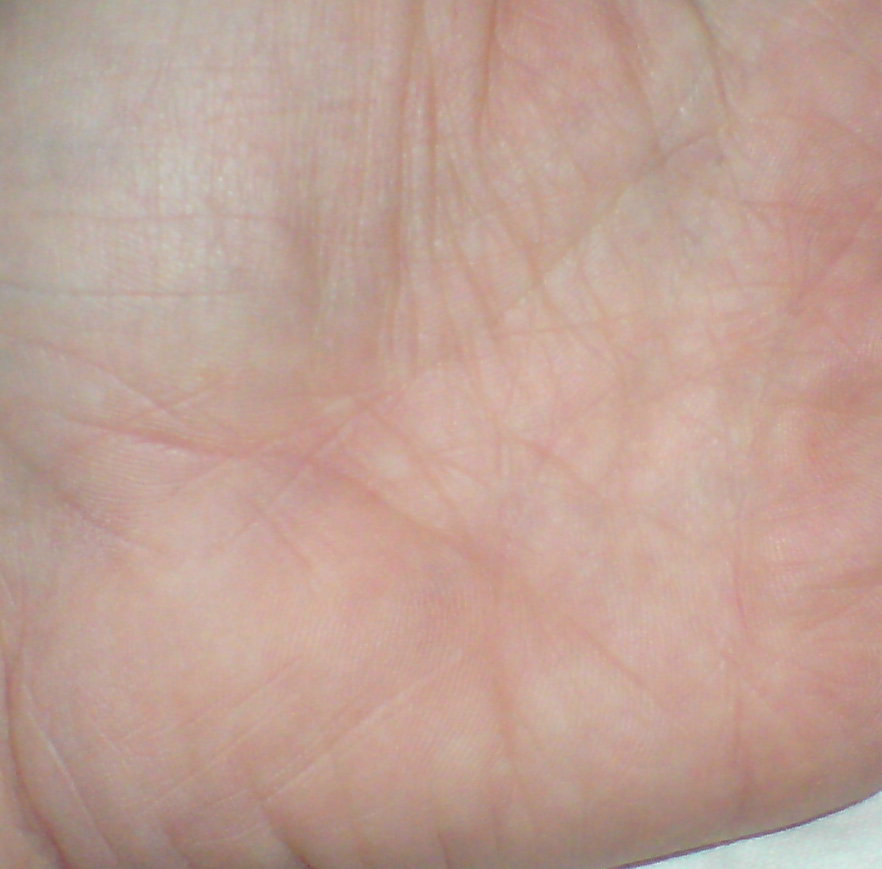 Der Versuch eines Fotos.