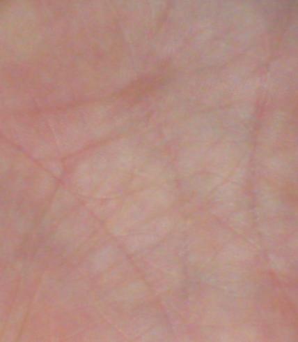 Der Versuch eines Fotos.