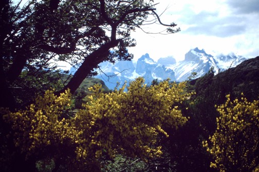 Im Paine - Nationalpark in Südchile