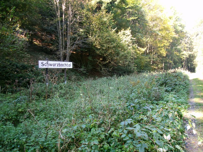 An einer ehemaligen Kleinbahnstrecke in der Sächsischen Scweiz