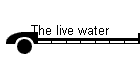 Das lebendige Wasser