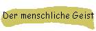 Der menschliche Geist