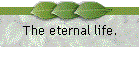 Wie wird das ewige Leben ermöglicht?