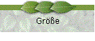 Größe