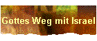 Gottes Weg mit Israel