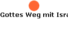Gottes Weg mit Israel