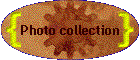 Photo collection